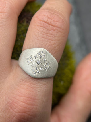 The Moon & Star Shield Ring