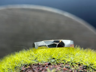 The Narrow Facet Band