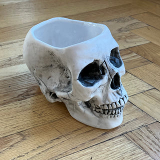 Skull Planter or Bowl