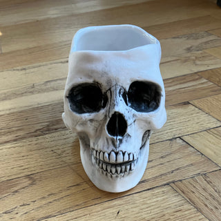 Skull Planter or Bowl