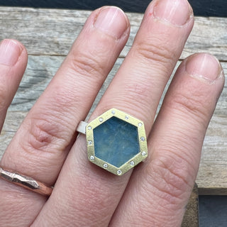 Aqua Pool Ring