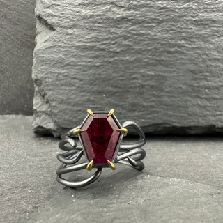 A Ring for the Shadows