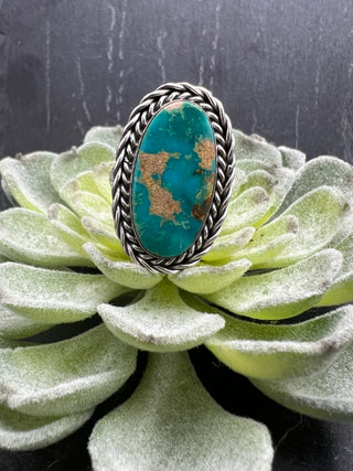 Big Turquoise Oval Ring