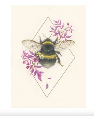 Bumblebee Study