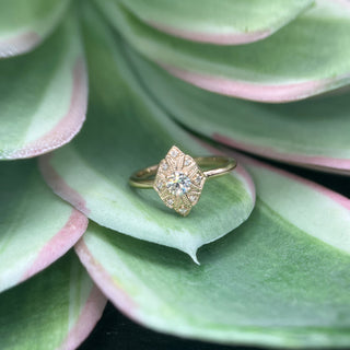 Zelda Ring