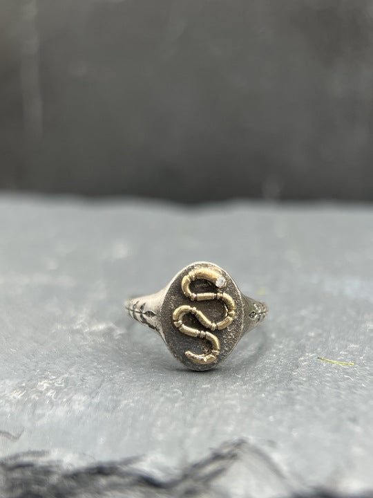 Garden Snake Signet Ring