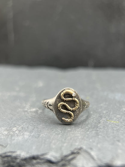 Garden Snake Signet Ring