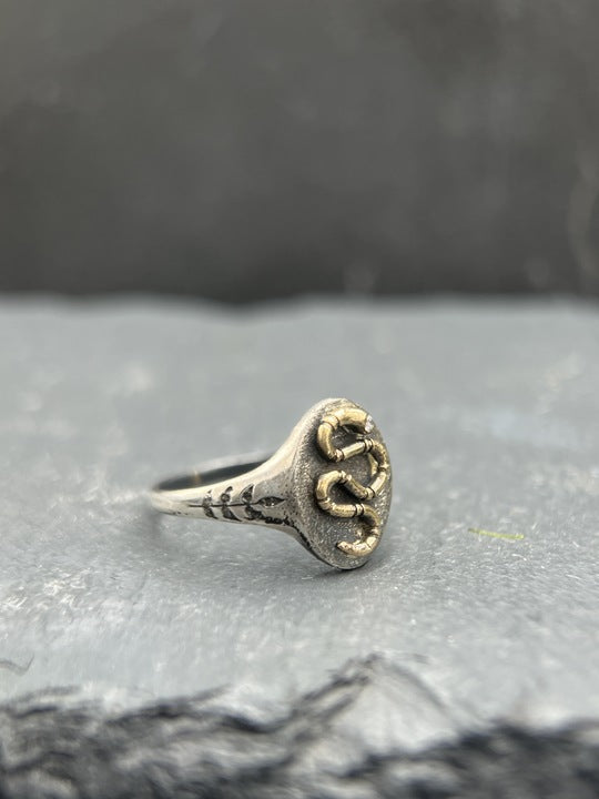 Garden Snake Signet Ring