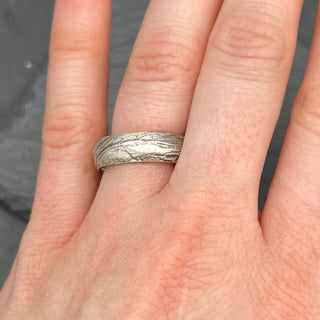 Bristlecone Ring in Silver