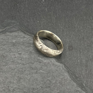 Bristlecone Ring in Silver