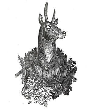 Remember Me Trophy II: Antelope (Print)